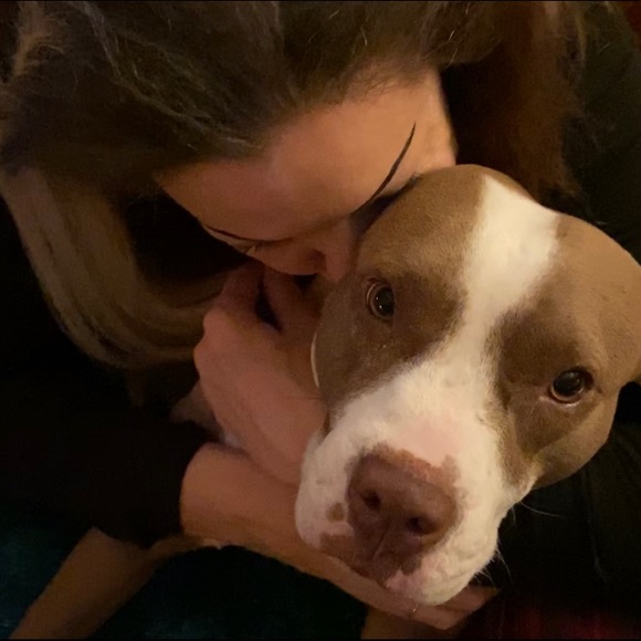 Some info - Picture 4 of 6